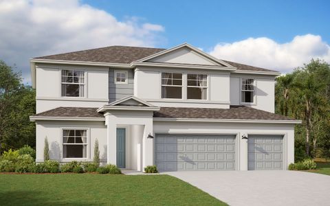 New construction Single-Family house 3010 Stewart Creek Cir, Plant City, FL 33565 plan Dorsett - image