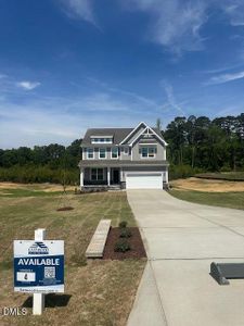 New construction Single-Family house 216 Cedar Ridge Trl Ct, Angier, NC 27501 - image