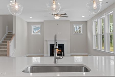 New construction Single-Family house 3204 Balcon Ct, Angier, NC 27501 - image 19