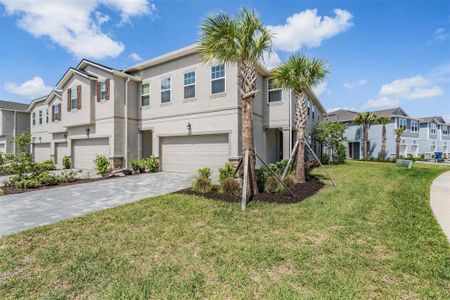 New construction Townhouse house 19219 Blue Pond Dr, Lutz, FL 33558 - image