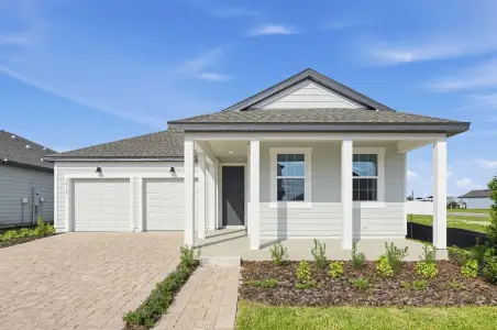 New construction Single-Family house 30139 Emerald Forest Dr, Mount Dora, FL 32757 plan Plant II - image