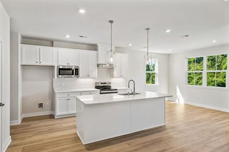 New construction Single-Family house 110 Cainwalker Rd, Huger, SC 29450 plan Barron Quick Move-In - image 4