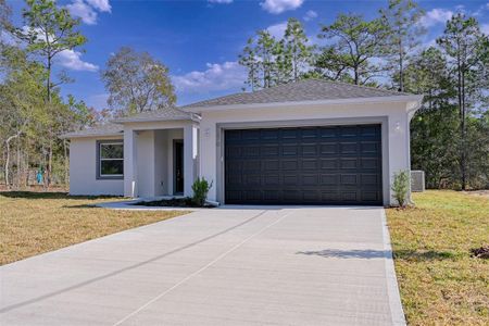 New construction Single-Family house 8736 N Vince Dr, Dunnellon, FL 34434 - image