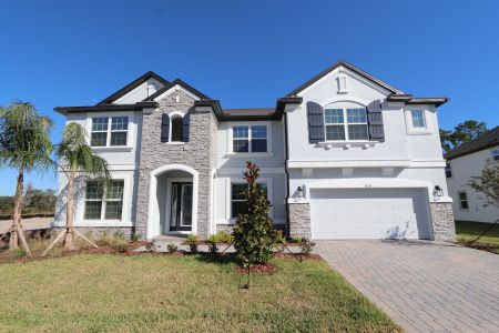 New construction Single-Family house 10638 New Morning Dr, Tampa, FL 33647 Grandsail  III- photo 3 3