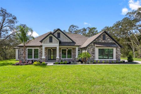 New construction Single-Family house 17558 Lippizan Ln, Hudson, FL 34667 - image