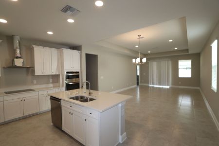 New construction Single-Family house 4763 Beachrose Way, Lakeland, FL 33811 Picasso- photo 21 21