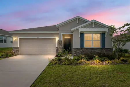 New construction Single-Family house 9358 Sw 60Th Terrace Rd, Ocala, FL 34476 plan CLIFTON - image