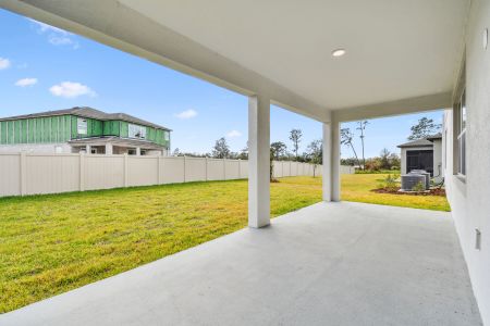 New construction Single-Family house 4774 Beachrose Way, Lakeland, FL 33811 Barcello Bonus- photo 135 135