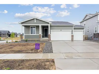 New construction Single-Family house 803 Mesic Ln, Windsor, CO 80550 plan Cimarron - image