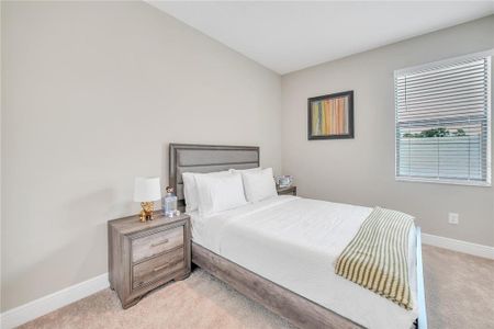 New construction Single-Family house 12591 Vander Wy, New Port Richey, FL 34654 - image 18