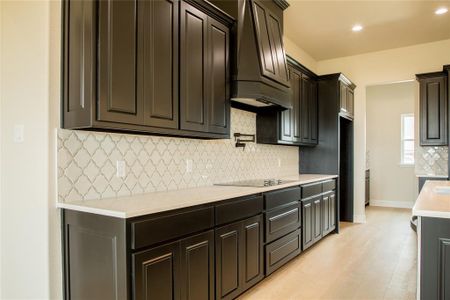 New construction Single-Family house 201 Belmont Dr, Willow Park, TX 76087 null- photo 12 12