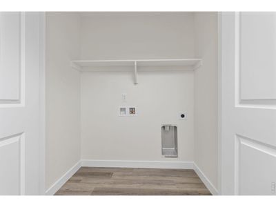 New construction Duplex house 161 Washington St, Erie, CO 80516 plan VIlla Series Hickory  - image 11