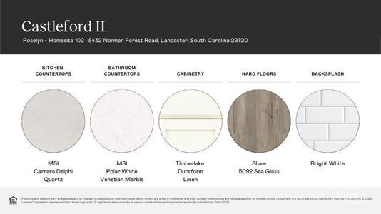 New construction Single-Family house 8432 Norman Forest Rd, Lancaster, SC 29720 plan Castleford II - image