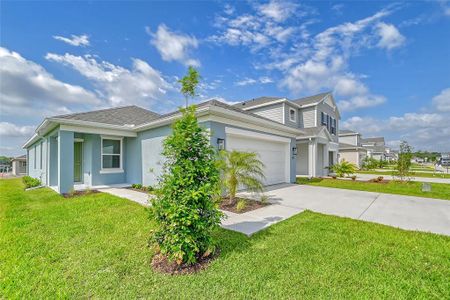 New construction Single-Family house 13125 Bayberry Wy, Parrish, FL 34219 - image