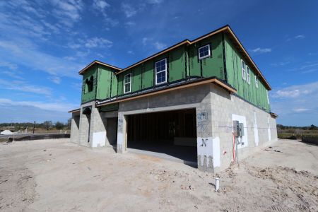 New construction Single-Family house 31222 Hayman Loop, Wesley Chapel, FL 33545 Windsor- photo 57 57