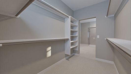 New construction Single-Family house 347 Summer Place Dr, Montgomery, TX 77356 plan Hampton - image 14