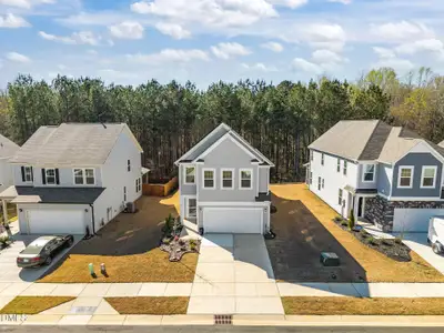 New construction Single-Family house 143 Steel Springs Ln, Angier, NC 27501 - image
