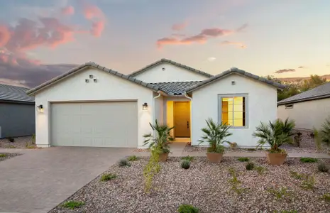 New construction Single-Family house 7995 W Willow Wy, Florence, AZ 85132 plan Tifton Walk - image