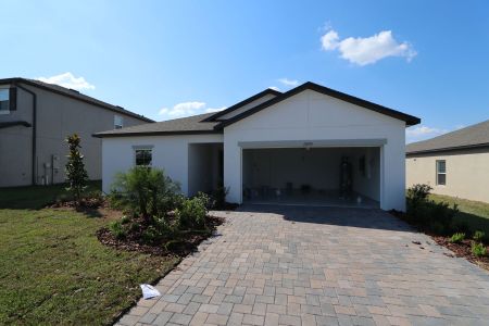 New construction Single-Family house 12193 Hilltop Farms Dr, Dade City, FL 33525 Sentinel- photo 39 39