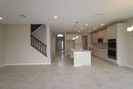 New construction Single-Family house 38338 Tobiano Loop, Dade City, FL 33525 Mira Lago- photo 117 117