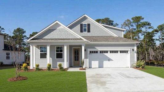 New construction Single-Family house 3193 Butterfly Ginger St, Leland, NC 28451 plan Bradford - image