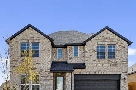 New construction Single-Family house 310 Hope Orchards Dr, Lavon, TX 75166 plan Trinity - image
