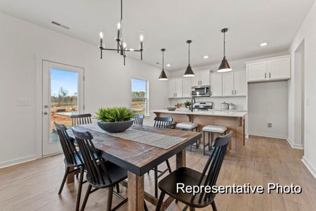 New construction Single-Family house 127 S Buggy Dr, Benson, NC 27504 plan The Whitney - image 10