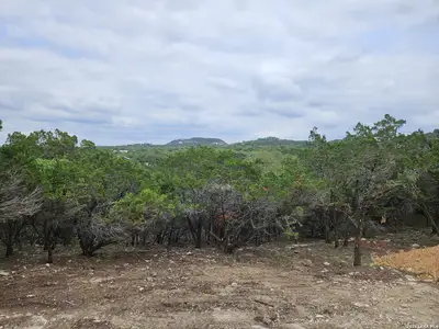 New construction Single-Family house 664 Luehlfing Dr, Canyon Lake, TX 78133 - image 16