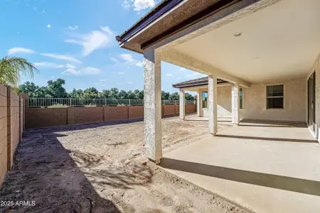 New construction Single-Family house 1315 W Via Las Brisas, Queen Crk, San Tan Valley, AZ 85140 plan Powell - image