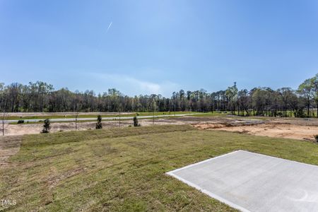 New construction Single-Family house 1456 Rhodes Pond St, Wendell, NC 27591 Oriole- photo 18 18