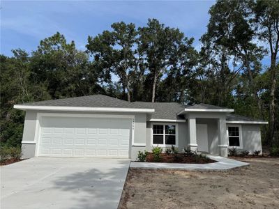 New construction Single-Family house 19799 Sw 88Th Place Rd, Dunnellon, FL 34432 - image
