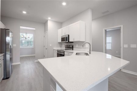 New construction Single-Family house 2646 Scenic Park Lp, Wimauma, FL 33598 plan Savannah - image 8