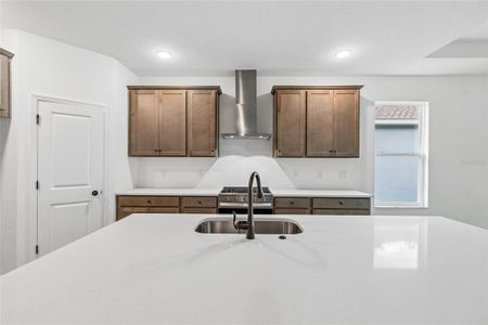 New construction Single-Family house 19717 Fort King Run, Brooksville, FL 34601 plan Kingsley - image 9