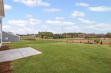 New construction Single-Family house 113 Cherry Glen Way, Euharlee, GA 30120 null- photo 29 29