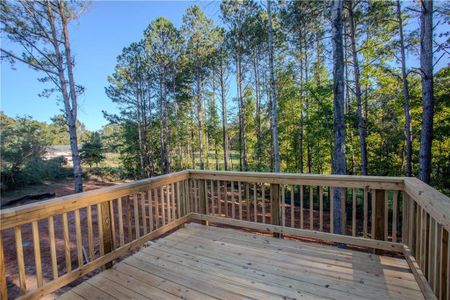 New construction Single-Family house 30 Daisy Lane, Villa Rica, GA 30180 - photo 43 43