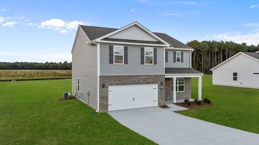 New construction Single-Family house 10514 Beard Wy, Bailey, NC 27807 plan Hayden - image