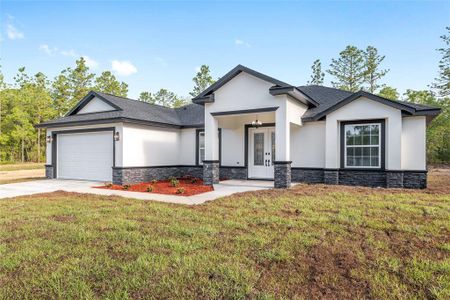 New construction Single-Family house 8269 Sw 122Nd Ave, Dunnellon, FL 34432 - image