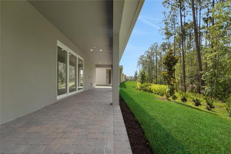 New construction Single-Family house 14249 Crest Palm Ave, Windermere, FL 34786 null- photo 69 69