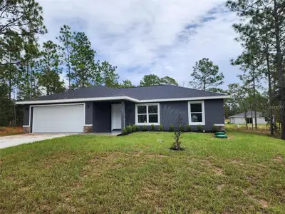 New construction Single-Family house 10277 Se 158Th Pl, Summerfield, FL 34491 - image