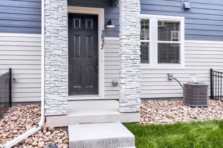 New construction Single-Family house 2837 Bear Springs Cir, Longmont, CO 80503 plan Terrain - image