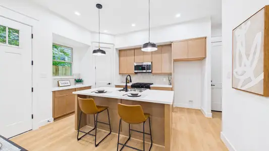 Gentry Street by ONYX Residential Group in Houston - image 9