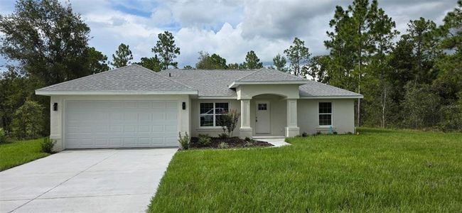 New construction Single-Family house 14055 Red Marlin Ave, Brooksville, FL 34614 - image