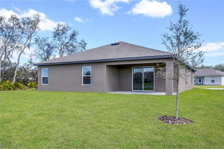 Nice Size Backyard with a Greenway on one side of home.