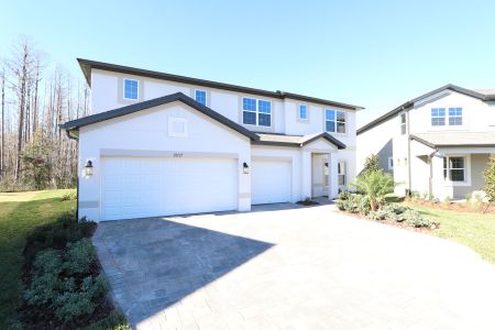 New construction Single-Family house 20125 Oriana Loop, Land O' Lakes, FL 34638 Santina II- photo 162 162