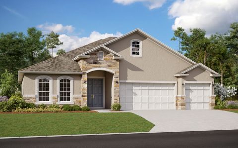 New construction Single-Family house 639 Avila Place, Howey-in-the-Hills, FL 34737 - photo 0