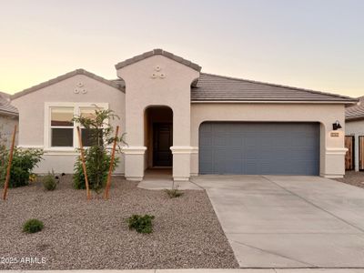New construction Single-Family house 30216 N Acacia Dr, Florence, AZ 85132 plan Saguaro - image