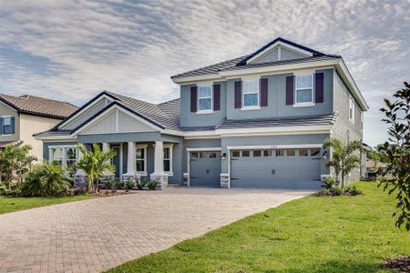 New construction Single-Family house 10064 Meadowrun Drive, Lithia, FL 33547 - photo 0