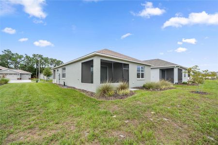 New construction Single-Family house 10277 Sw 96Th Loop, Ocala, FL 34481 - photo 23 23