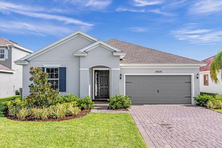 New construction Single-Family house 30025 Island Club Dr, Tavares, FL 32778 null- photo 0