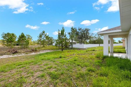 New construction Single-Family house 105 Plainview St, Lehigh Acres, FL 33974 - image